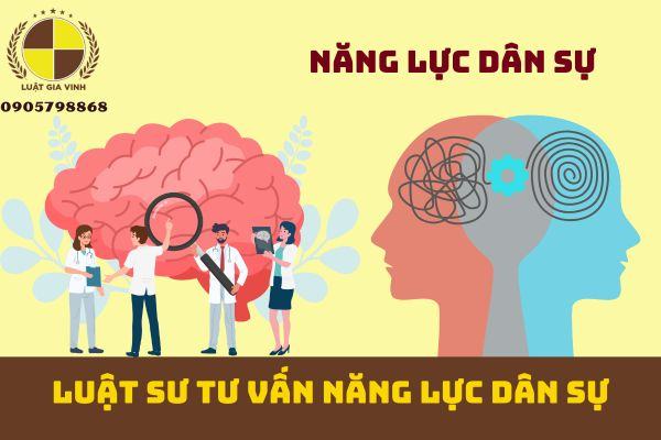 Luật sư tư vấn năng lực dân sự của cá nhân